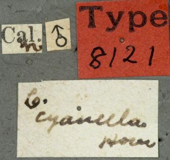 Media type: image;   Entomology 8121 Aspect: labels